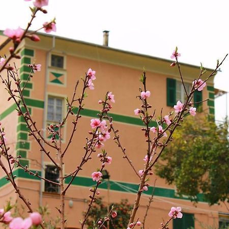 Appartamento Di Prestigio- Ca Da Lina - Deiva Marina Zewnętrze zdjęcie